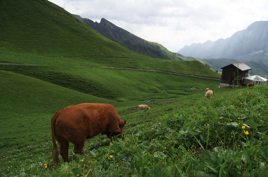 IMGP2558.jpg(377892 byte)