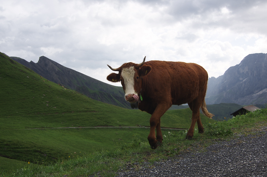 IMGP2567.jpg(273432 byte)