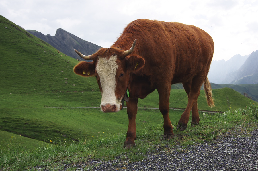 IMGP2570.jpg(342045 byte)