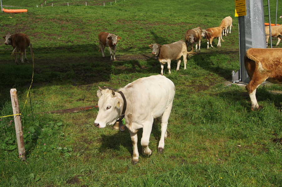 IMGP2572.jpg(517113 byte)