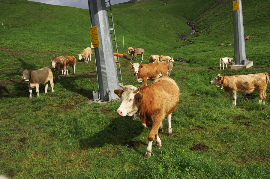 IMGP2573.jpg(516877 byte)