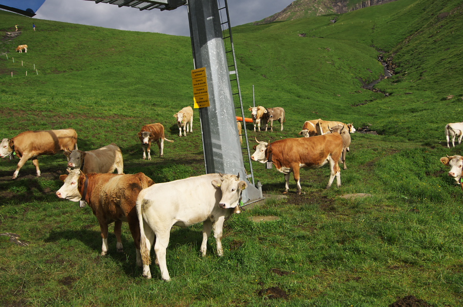 IMGP2574.jpg(479351 byte)