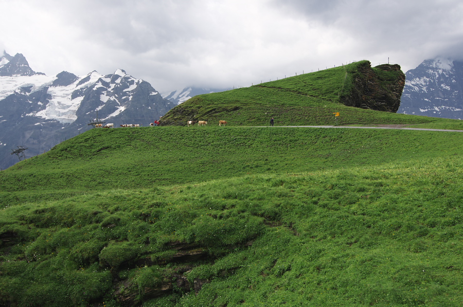 IMGP2577.jpg(405494 byte)