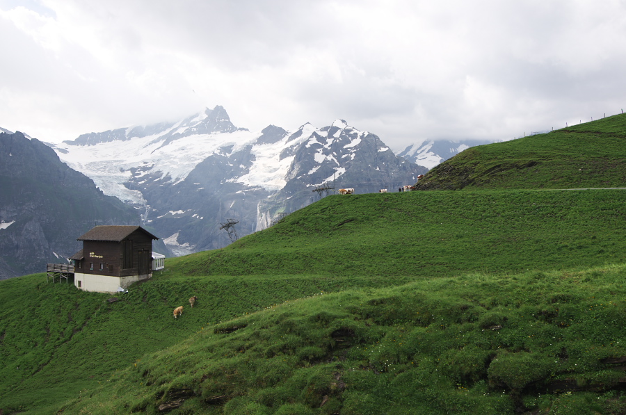 IMGP2579.jpg(322770 byte)