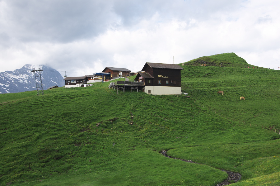 IMGP2580.jpg(331014 byte)