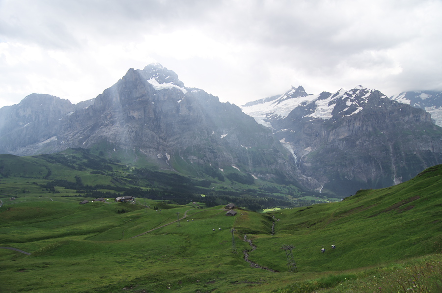 IMGP2590.jpg(263781 byte)