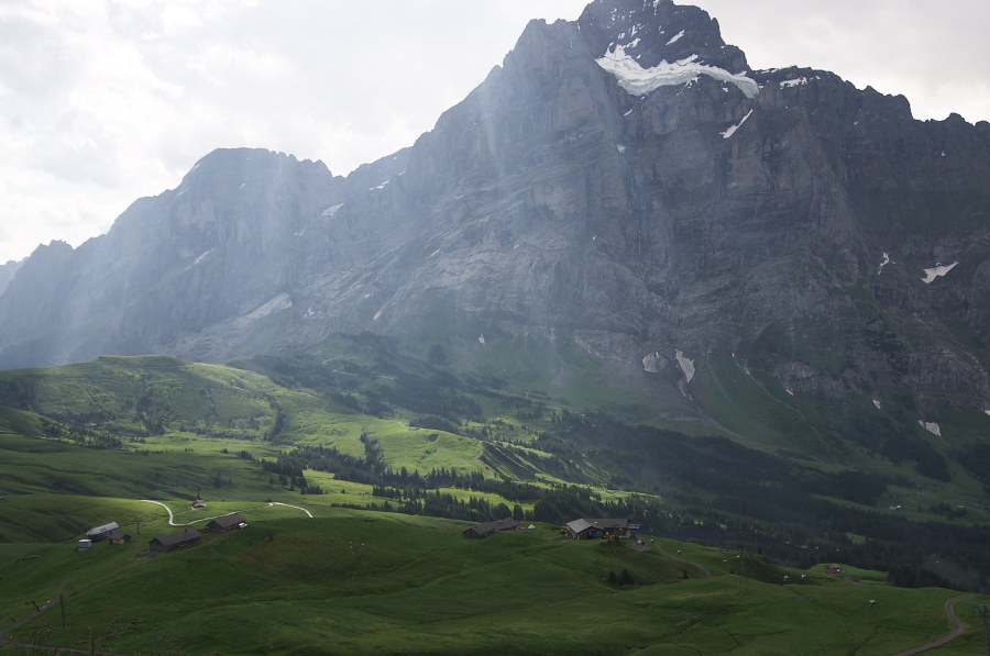 IMGP2593.jpg(239239 byte)