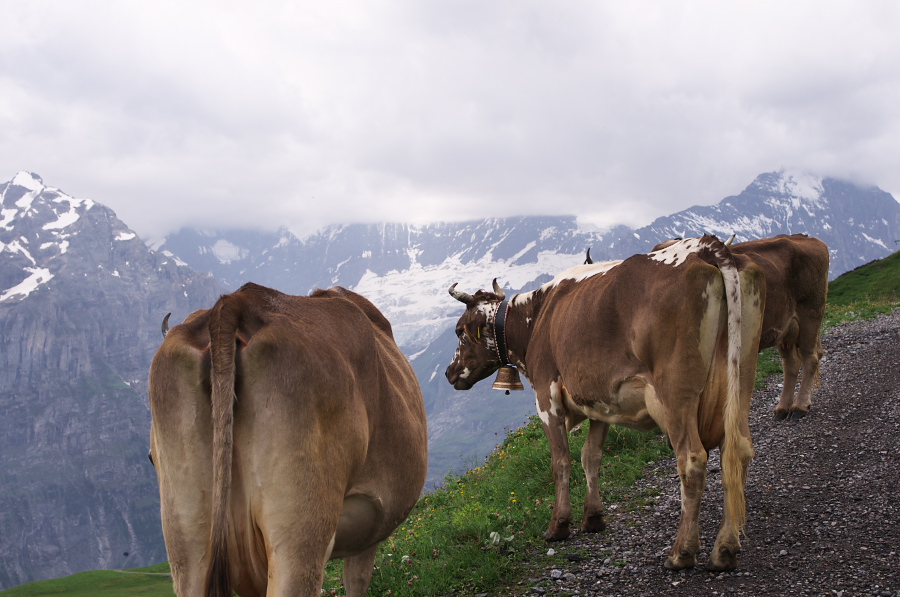 IMGP2632.jpg(283973 byte)