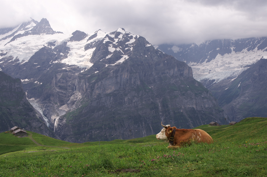 IMGP2642.jpg(314971 byte)