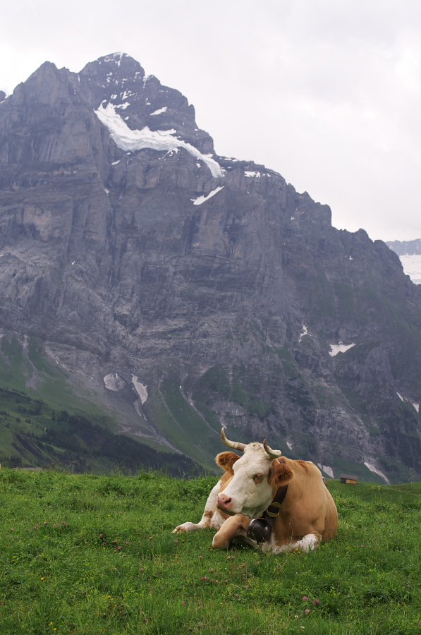 IMGP2643.jpg(299217 byte)