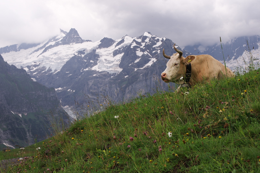 IMGP2655.jpg(365674 byte)