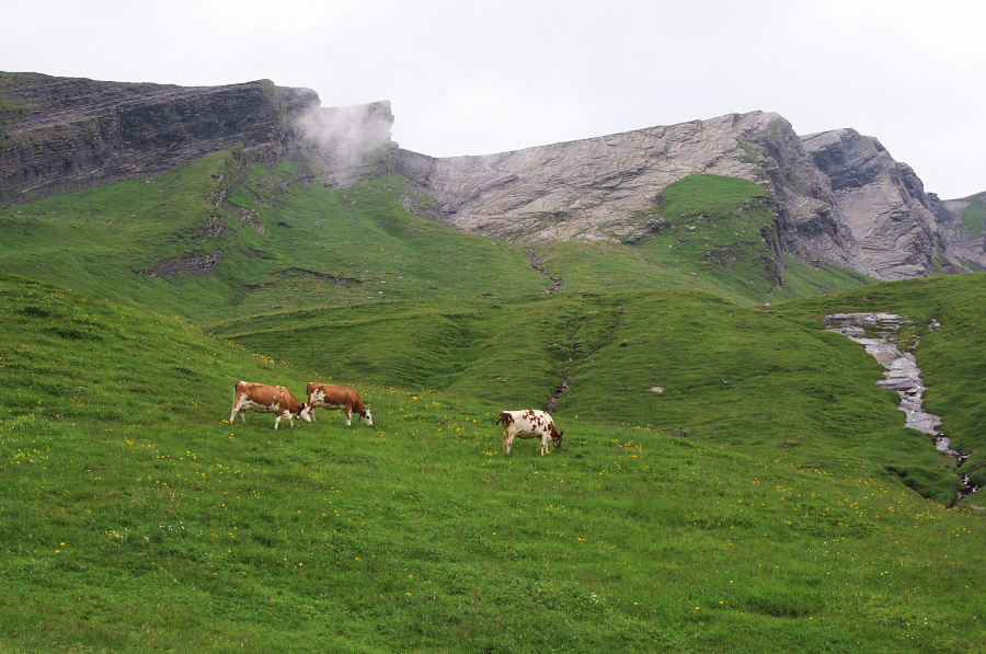 IMGP2658.jpg(395755 byte)