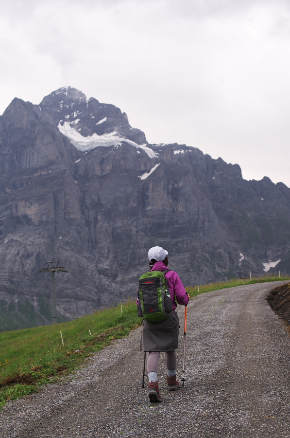 IMGP2659.jpg(284992 byte)