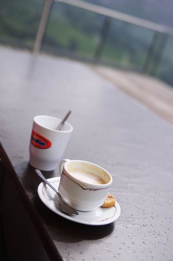 IMGP2678.jpg(154893 byte)