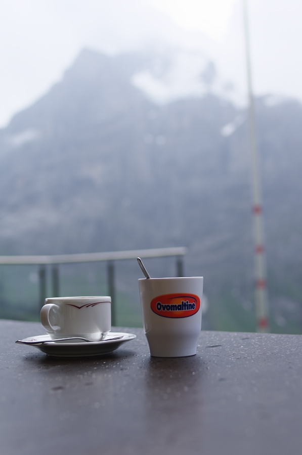 IMGP2695.jpg(117780 byte)