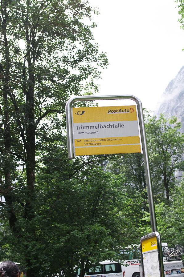 IMGP2709.jpg(500492 byte)