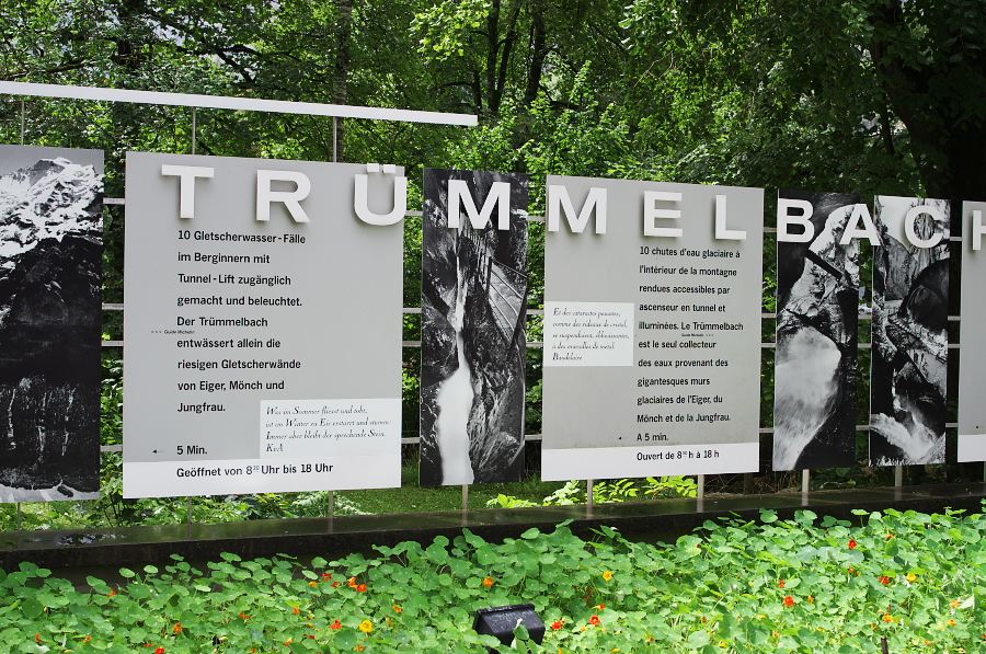 IMGP2711.jpg(524801 byte)