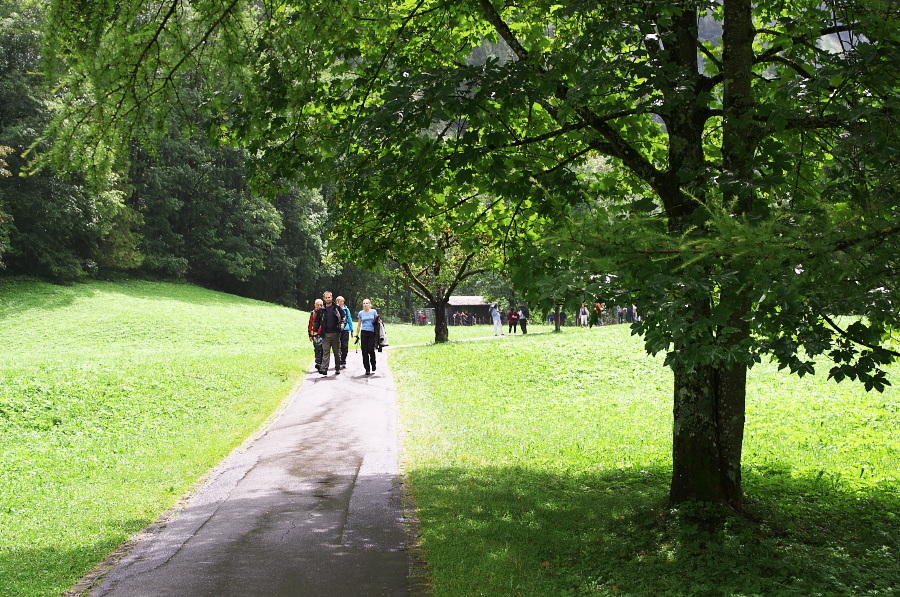 IMGP2715.jpg(588239 byte)