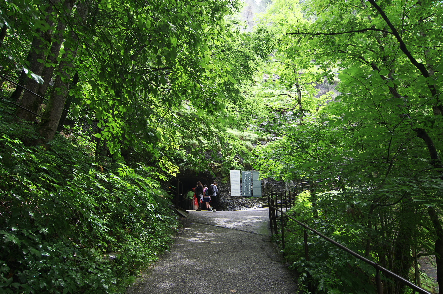 IMGP2716.jpg(651038 byte)