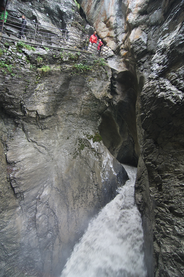 IMGP2744.jpg(472796 byte)