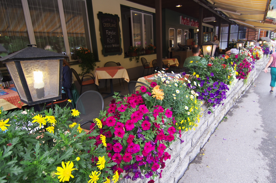 IMGP3021.jpg(459954 byte)