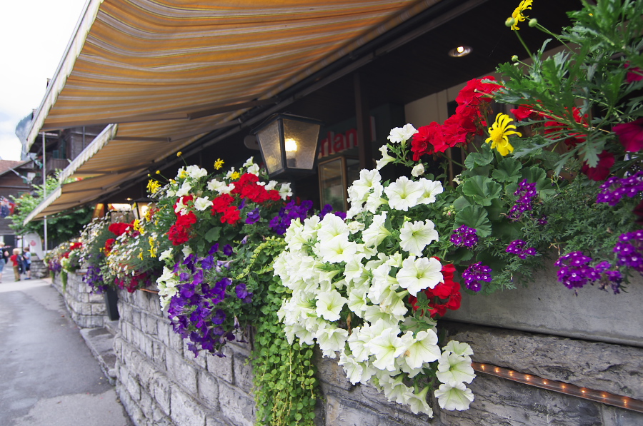 IMGP3024.jpg(423863 byte)