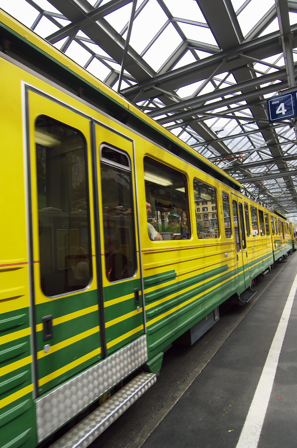 IMGP3048.jpg(400337 byte)