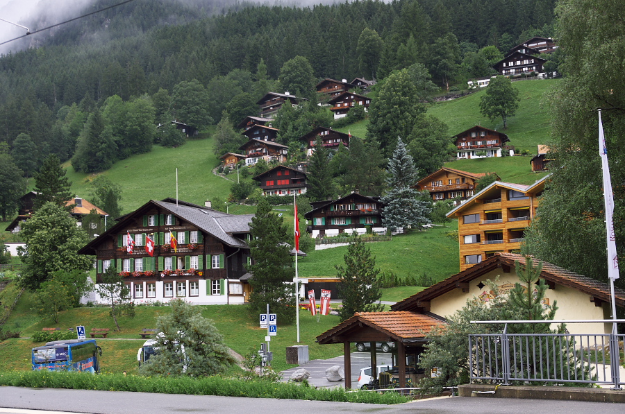 IMGP3364.jpg(485880 byte)