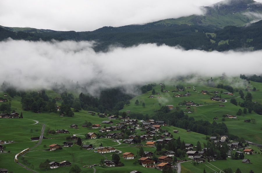 IMGP3371.jpg(256445 byte)