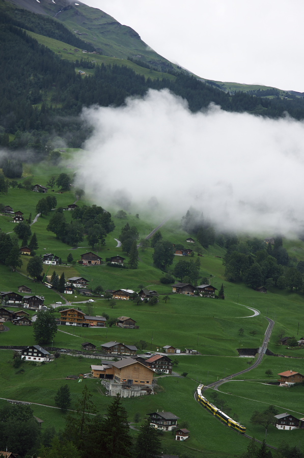 IMGP3373.jpg(267712 byte)