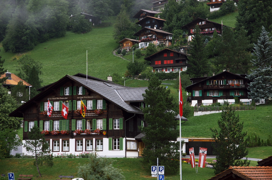 IMGP3376.jpg(439198 byte)