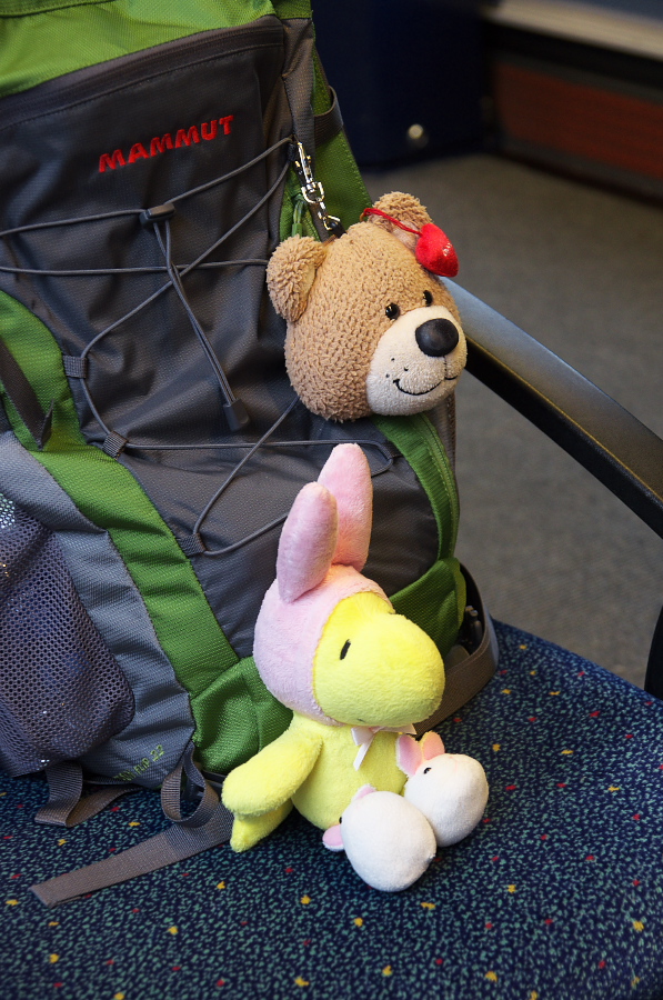 IMGP3425.jpg(386263 byte)