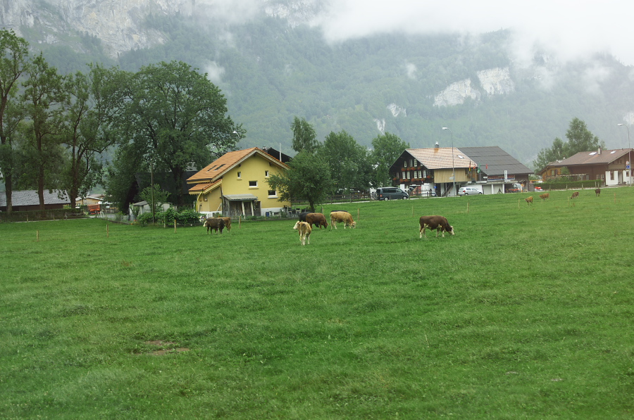 IMGP3504.jpg(371050 byte)