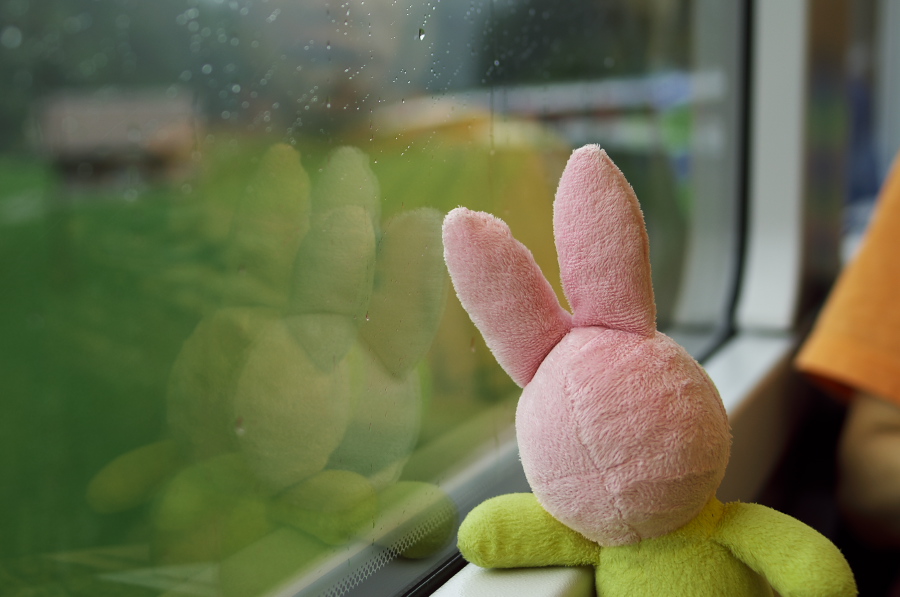 IMGP3518.jpg(198868 byte)