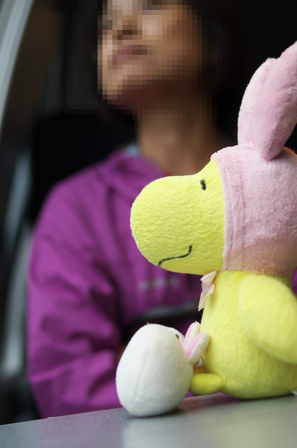 IMGP3581-1.jpg(112914 byte)