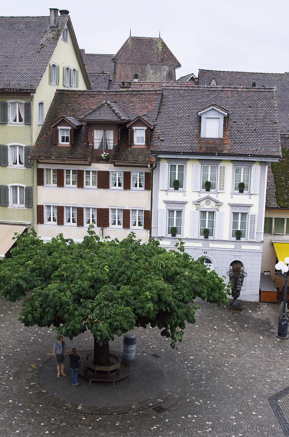 IMGP3817.jpg(448518 byte)