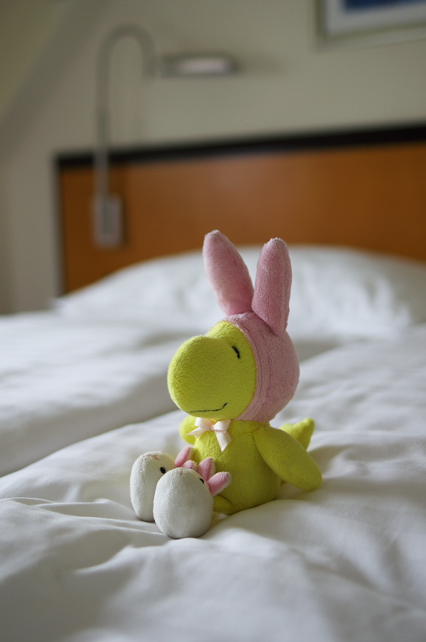 IMGP3822.jpg(175879 byte)