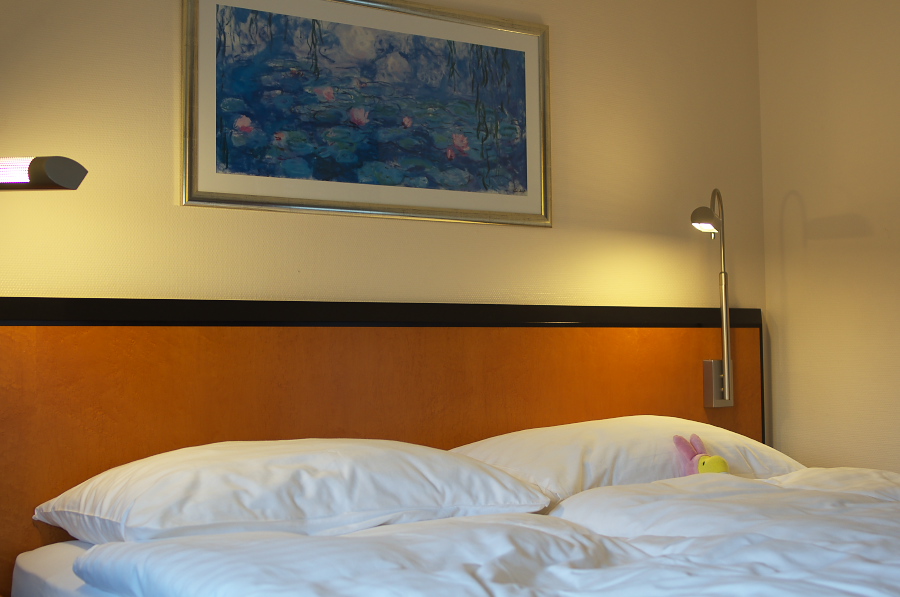 IMGP3880.jpg(205673 byte)