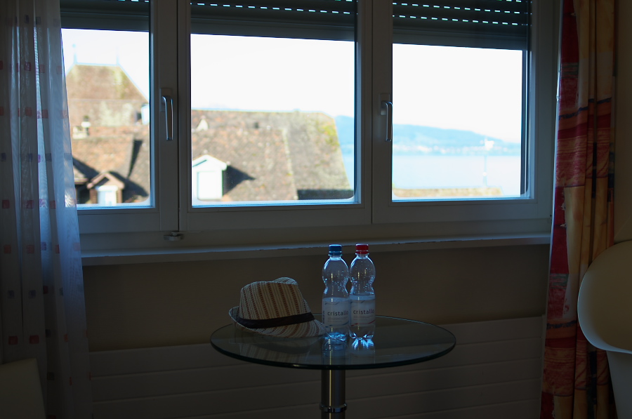 IMGP4588.jpg(186491 byte)