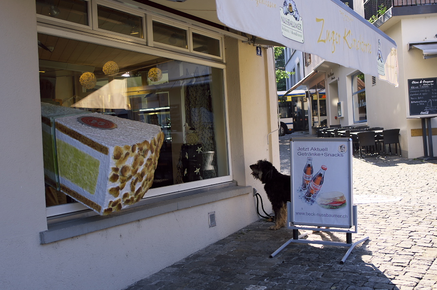 IMGP4609.jpg(348529 byte)