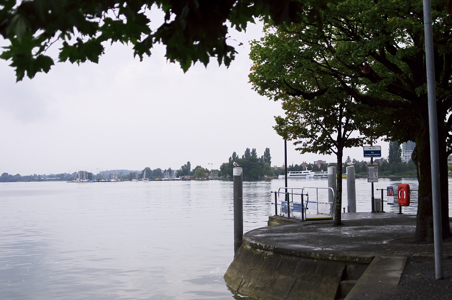 IMGP3619.jpg(308995 byte)