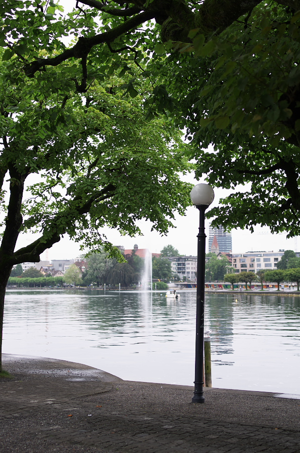 IMGP3664.jpg(482295 byte)