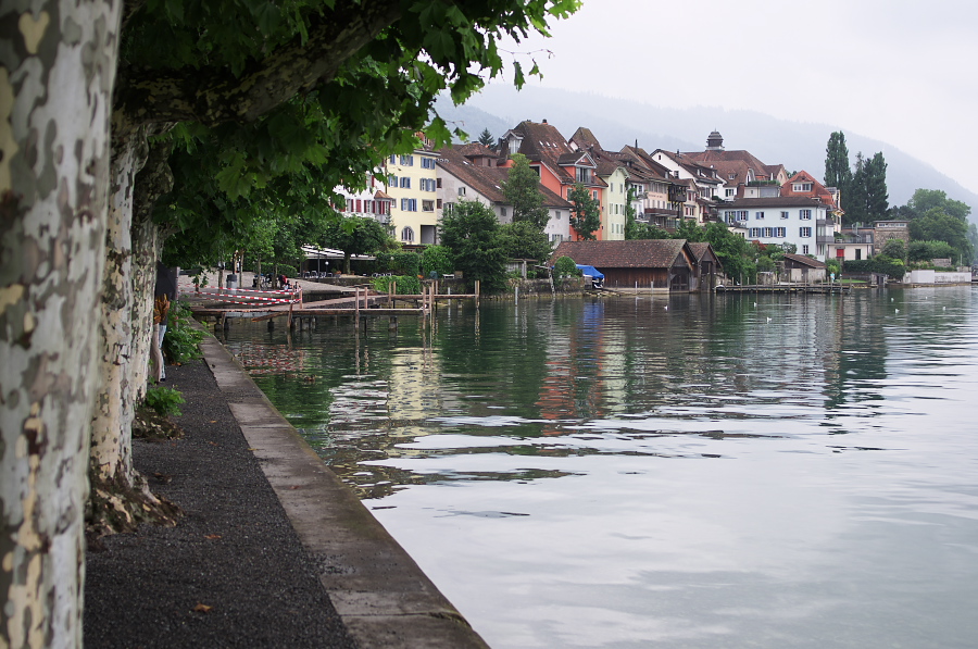 IMGP3670.jpg(355671 byte)