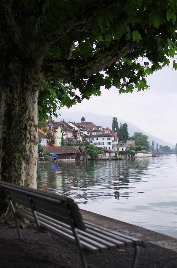 IMGP3674.jpg(314757 byte)