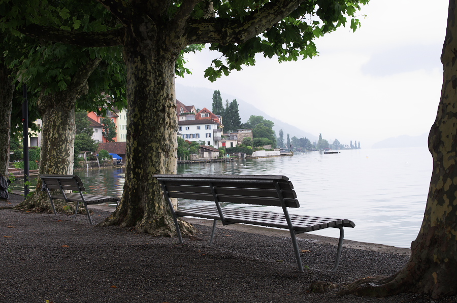 IMGP3684.jpg(368910 byte)