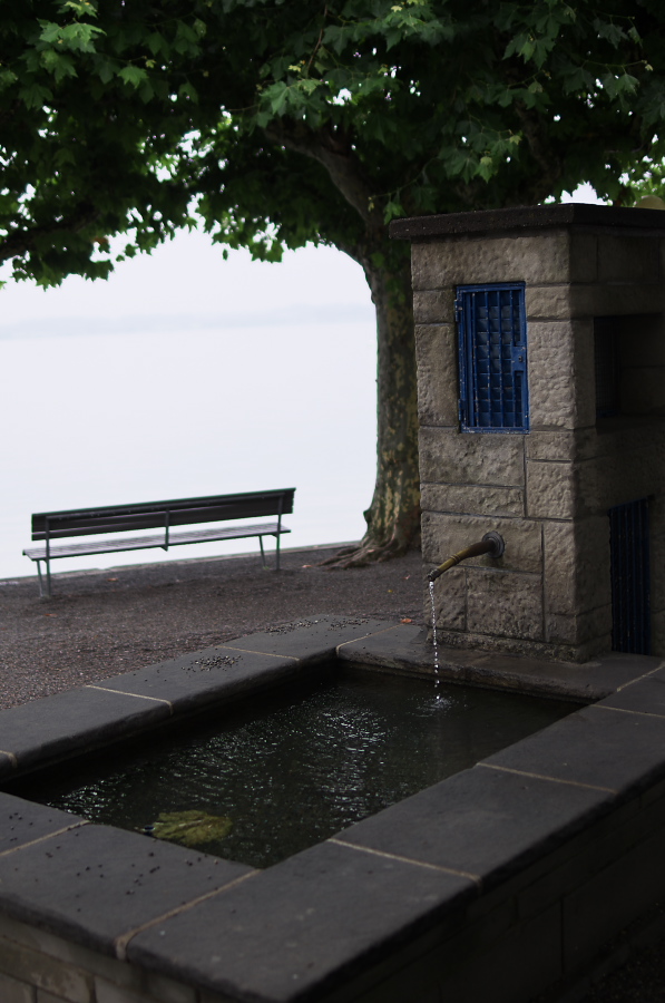 IMGP3690.jpg(247044 byte)