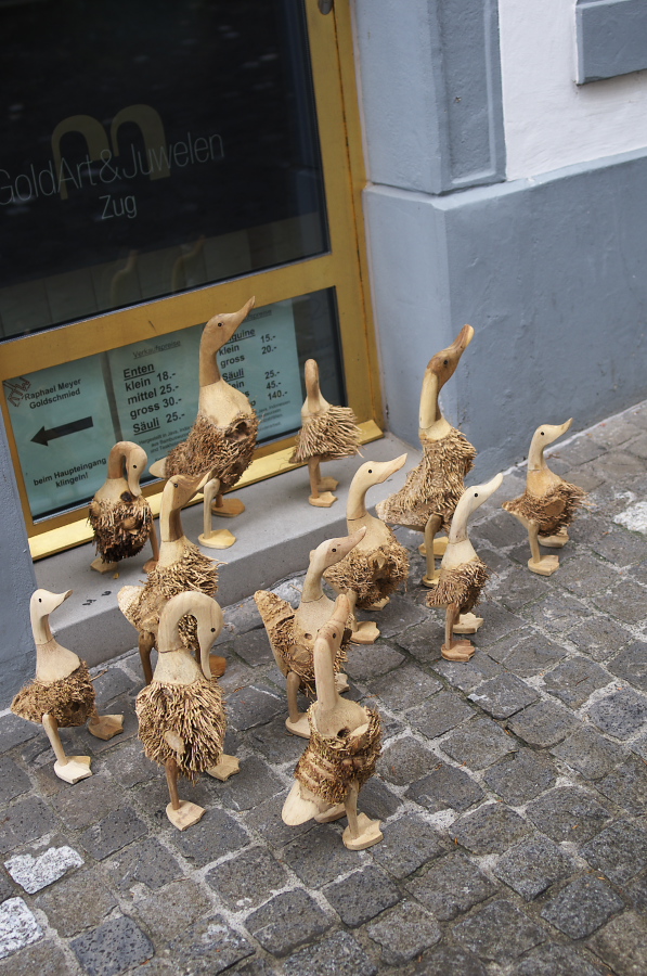 IMGP3725.jpg(375027 byte)