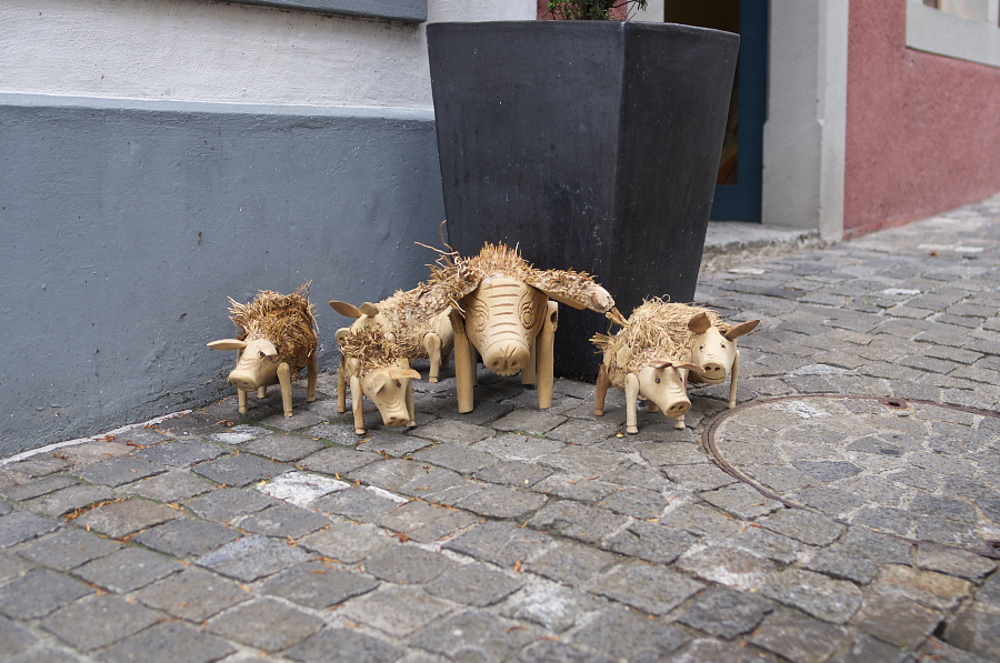 IMGP3729.jpg(369469 byte)