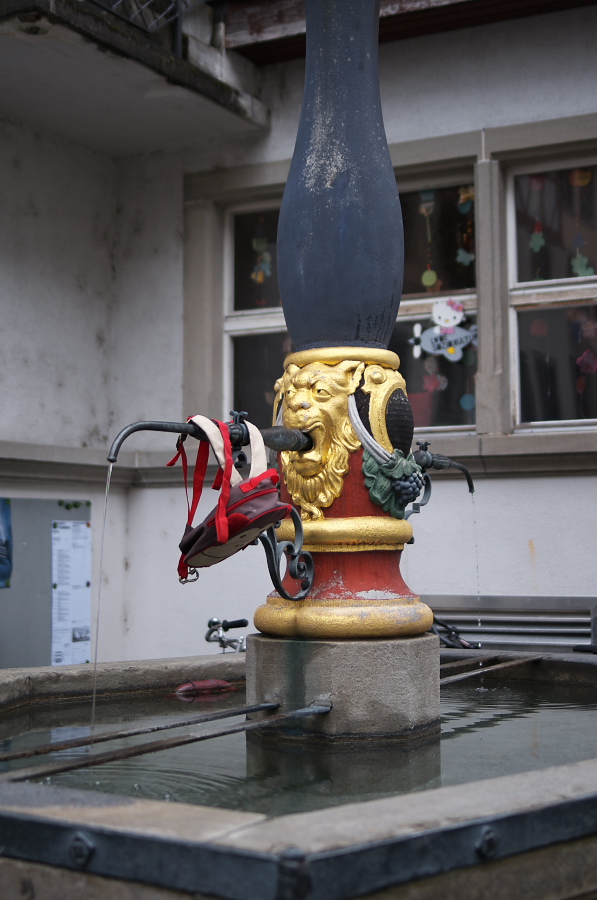 IMGP3754.jpg(243068 byte)