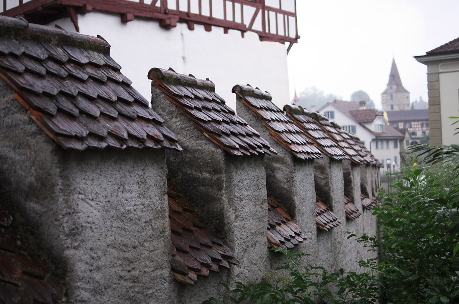 IMGP3787.jpg(360705 byte)